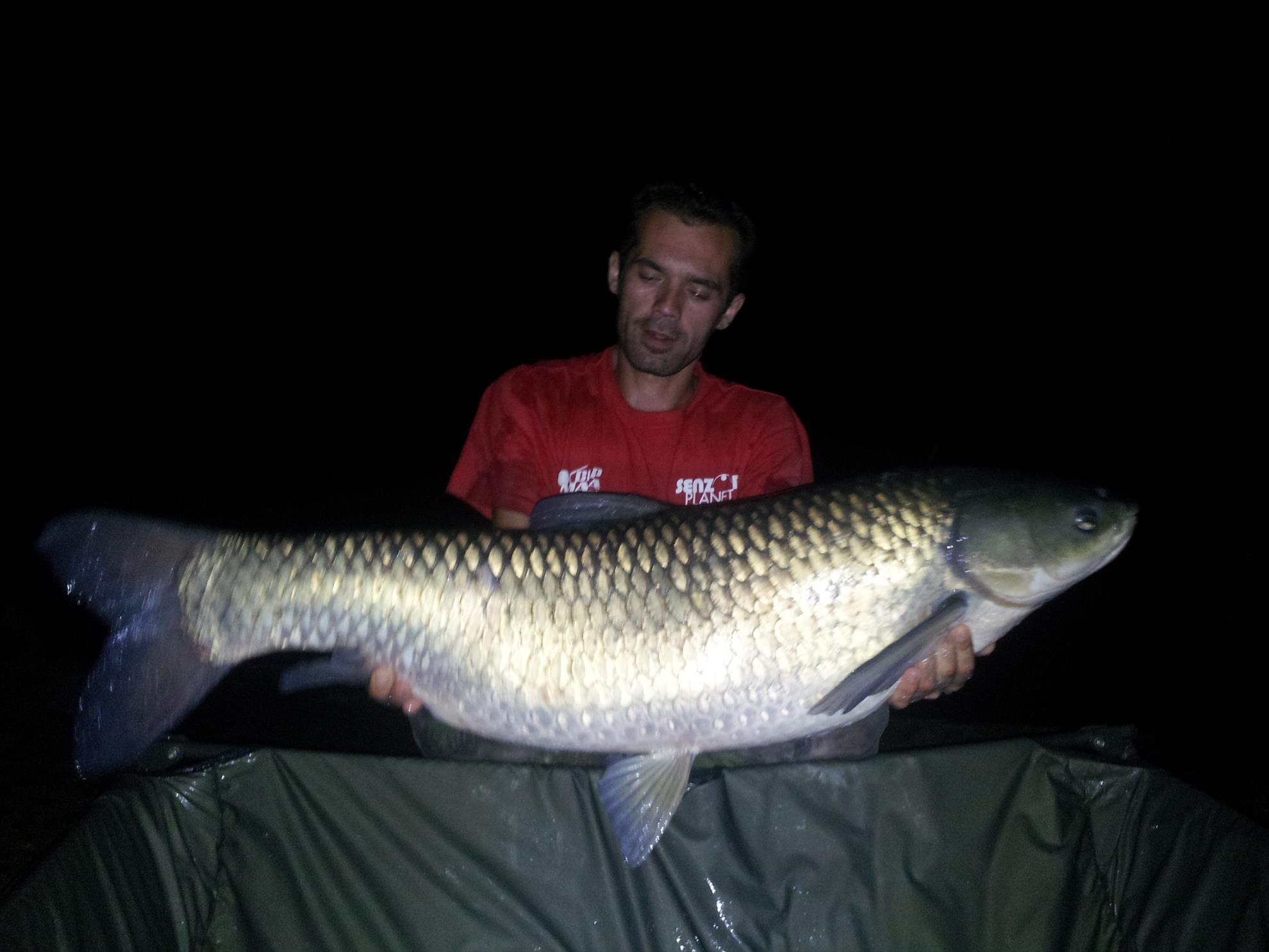 Tancabesti 31 august - 7 septembrie 2014 - 20140906024706.jpg